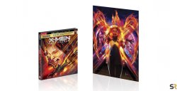 X-Men-Dark-Phoenix-Orlando-Arocena-Art.jpg