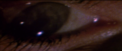 00D701AF-E8D9-46A4-B34C-AB2FED20AAEB.png