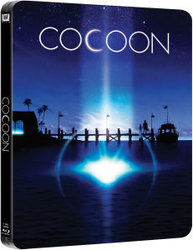 cocoonsteel1.jpg