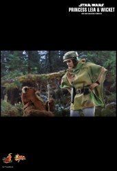 HT_ROTJ_LeiaWicket_2.jpg HT_ROTJ_LeiaWicket_2.jpg