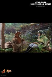 HT_ROTJ_LeiaWicket_3.jpg HT_ROTJ_LeiaWicket_3.jpg