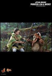 HT_ROTJ_LeiaWicket_5.jpg HT_ROTJ_LeiaWicket_5.jpg