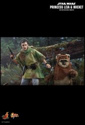 HT_ROTJ_LeiaWicket_6.jpg HT_ROTJ_LeiaWicket_6.jpg