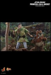 HT_ROTJ_LeiaWicket_7.jpg HT_ROTJ_LeiaWicket_7.jpg