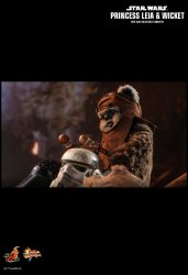 HT_ROTJ_LeiaWicket_11.jpg HT_ROTJ_LeiaWicket_11.jpg