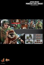 HT_ROTJ_LeiaWicket_12.jpg HT_ROTJ_LeiaWicket_12.jpg