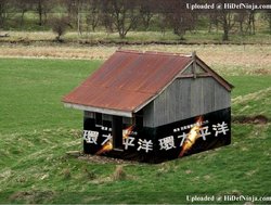 shed.jpg