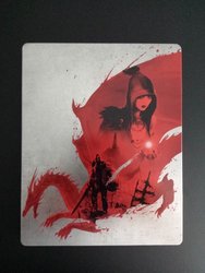 Dragon Age Origins Steelbook Front.jpg