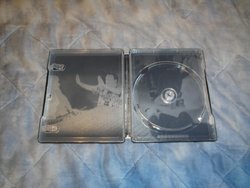 Pictures 010.jpg