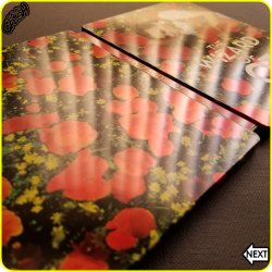 The Wizard of Oz 4K STLBK IG 05 akaCRUSH.jpg