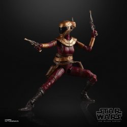 STAR WARS THE BLACK SERIES 6-INCH ZORII BLISS Figure - oop (1).jpg