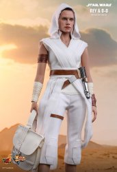 HT_SW9_Rey_2.jpg