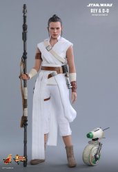 HT_SW9_Rey_4.jpg