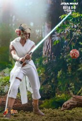 HT_SW9_Rey_6.jpg