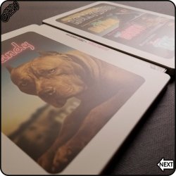 Once Upon A Time In Hollywood IG NEXT 05 akaCRUSH.jpg Once Upon A Time In Hollywood IG NEXT 05 akaCRUSH.jpg