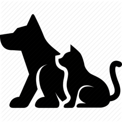 48986C78-A62F-41C9-A0DC-F21370D45EEB.png