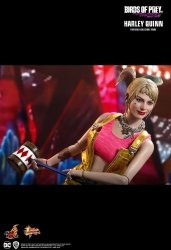 HT_BoP_Harley_14.jpg HT_BoP_Harley_14.jpg