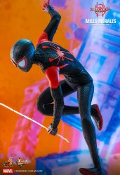 HT_Spiderverse_Miles_14.jpg HT_Spiderverse_Miles_14.jpg