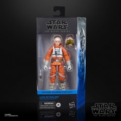 LUKE SKYWALKER (SNOWSPEEDER) 1.jpg