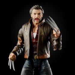 MARVEL LEGENDS SERIES X-MEN 20TH ANNIVERSARY 6-INCH WOLVERINE Figure - oop (4).jpg