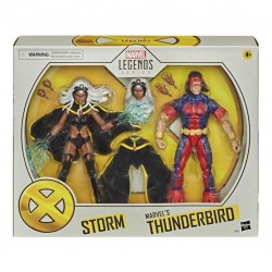 MARVEL LEGENDS SERIES X-MEN 6-INCH STORM AND MARVEL’S THUNDERBIRD Figure 2-Pack - in pck.jpg