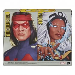 MARVEL LEGENDS SERIES X-MEN 6-INCH STORM AND MARVEL’S THUNDERBIRD Figure 2-Pack - pckging.jpg