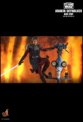 HT_Anakin_Stap_14.jpg HT_Anakin_Stap_14.jpg