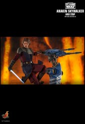 HT_Anakin_Stap_15.jpg HT_Anakin_Stap_15.jpg
