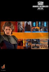 HT_Anakin_Stap_20.jpg HT_Anakin_Stap_20.jpg