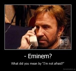 demotivation-posters-auto-eminem-chuck-norris-272112.jpeg