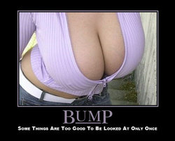 Bump1.jpg Bump1.jpg