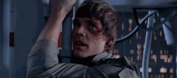 085C85C2-4A25-4ABB-8C1C-17EFE0456A37.gif
