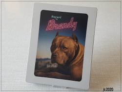 16.jpg 16.jpg