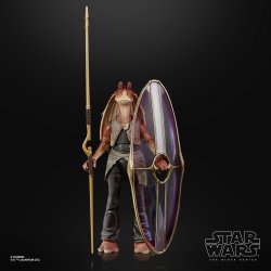 TBS DELUXE JAR JAR BINKS - oop5.jpg