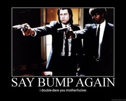 bump13.jpg bump13.jpg