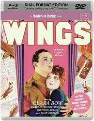 Wings.jpg