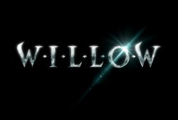 willow2.jpg