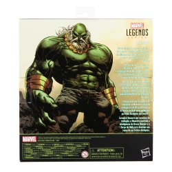 MARVEL LEGENDS SERIES 6-INCH-SCALE MAESTRO Figure - pckging.jpg