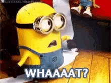 78E6E58F-DA2E-4FD5-9643-DDF366A4201F.gif