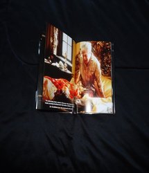The Godfather 012.jpg