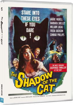 230_THE_SHADOW_OF_THE_CAT_BD_3D_packshot_72dpi_1000px_transp_540x.png