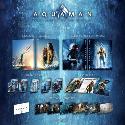 Aquaman Manta FS shot.jpg
