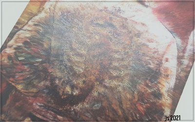 08.jpg 08.jpg