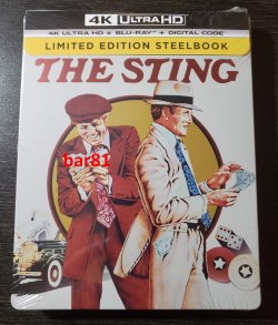 Sting_01.jpg