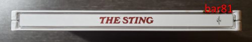 Sting_04.jpg