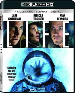 life-4k.jpg