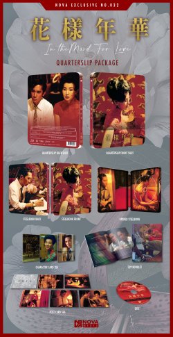 In the Mood For Love_QS_full shot.jpg