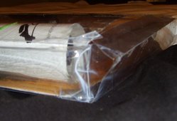 SSL28563.jpg