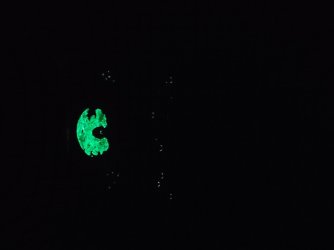 20210821_205340.jpg
