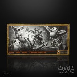 STAR WARS THE BLACK SERIES 6-INCH GALACTIC CREATURES TOY ACTION Figures_pckging 1.jpg